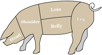 Diagram of the Sausage